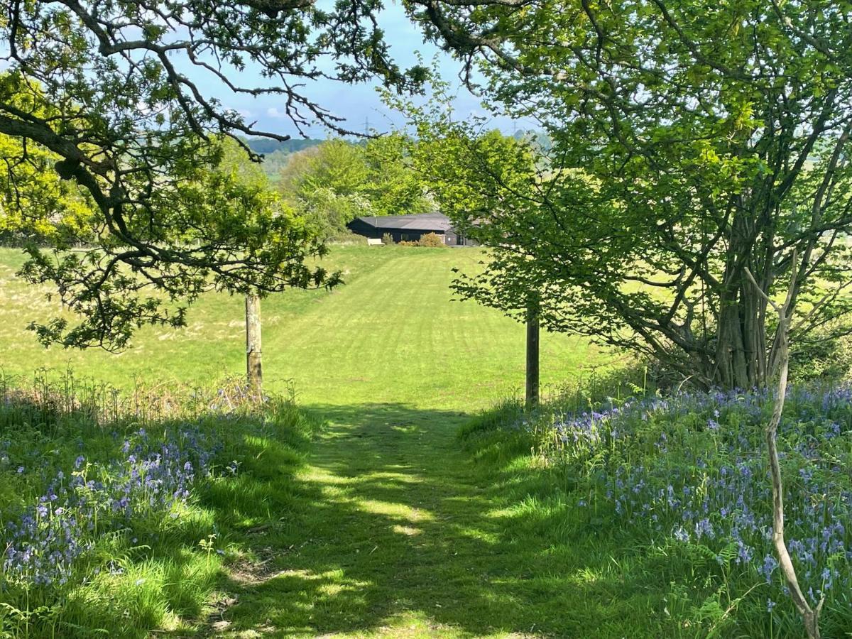 Deer lodge at Chapel Lodges Wimborne Minster Eksteriør billede