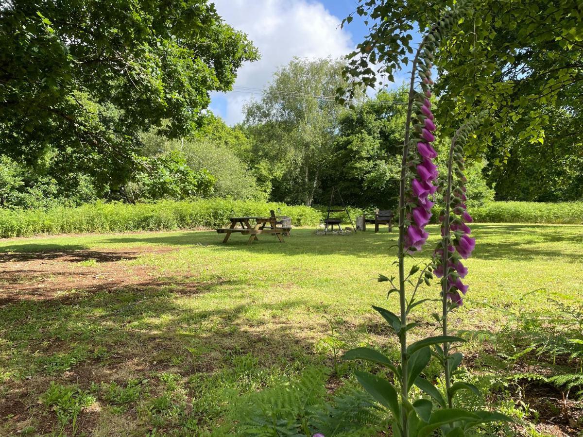 Deer lodge at Chapel Lodges Wimborne Minster Eksteriør billede