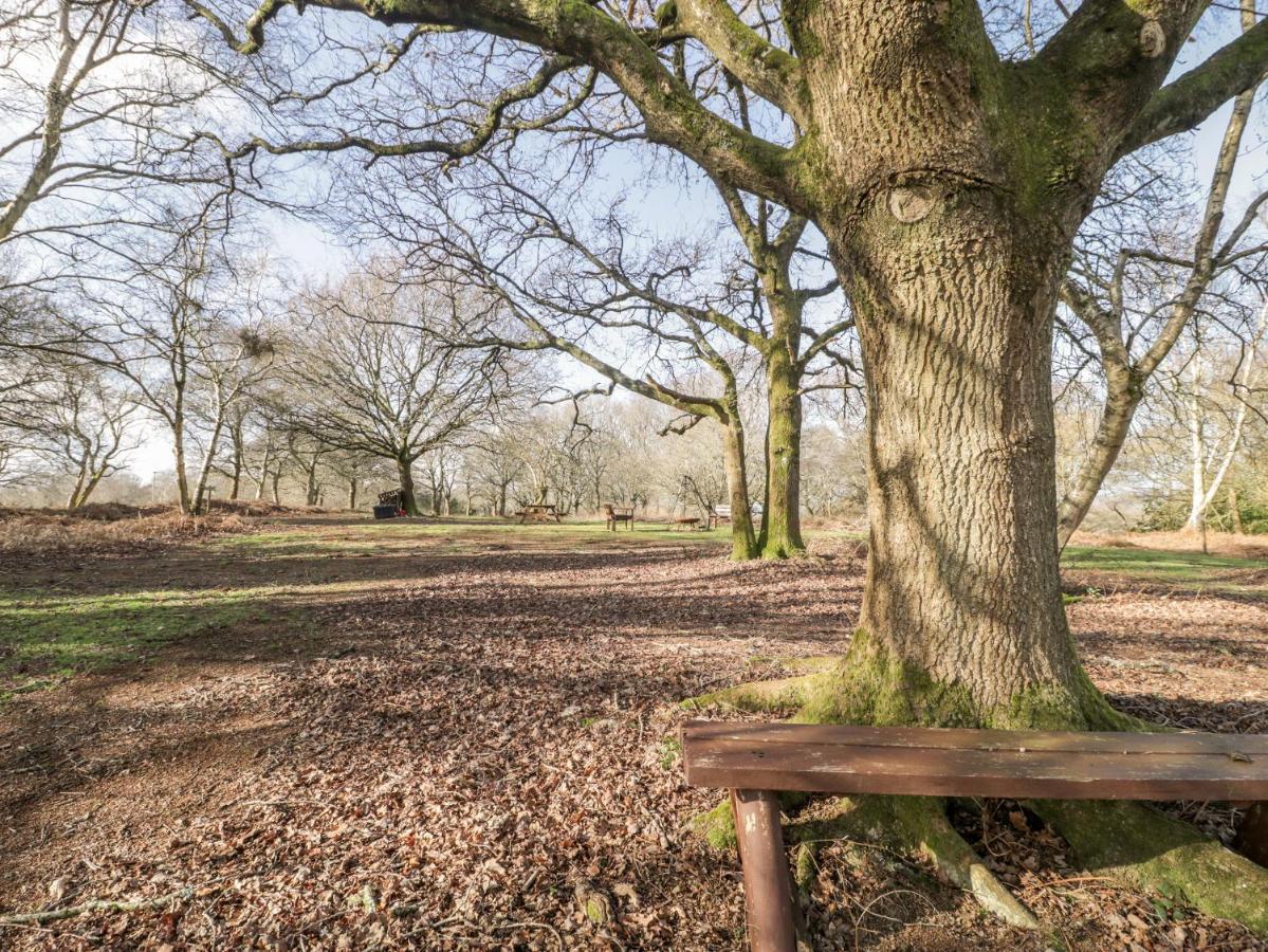 Deer lodge at Chapel Lodges Wimborne Minster Eksteriør billede