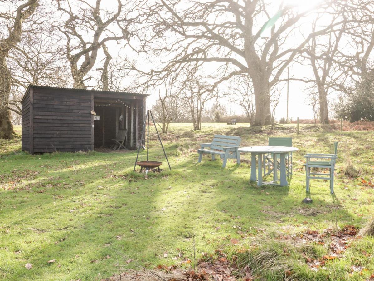 Deer lodge at Chapel Lodges Wimborne Minster Eksteriør billede