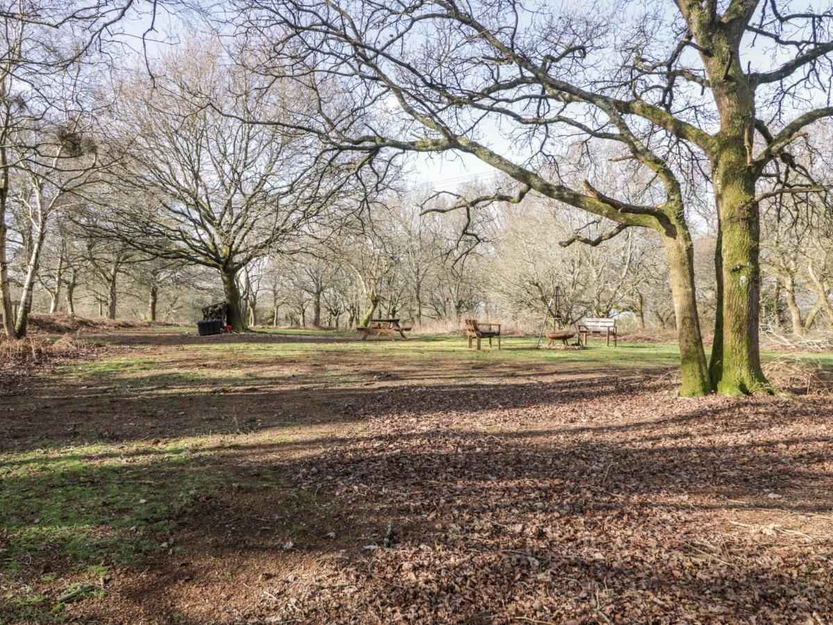 Deer lodge at Chapel Lodges Wimborne Minster Eksteriør billede