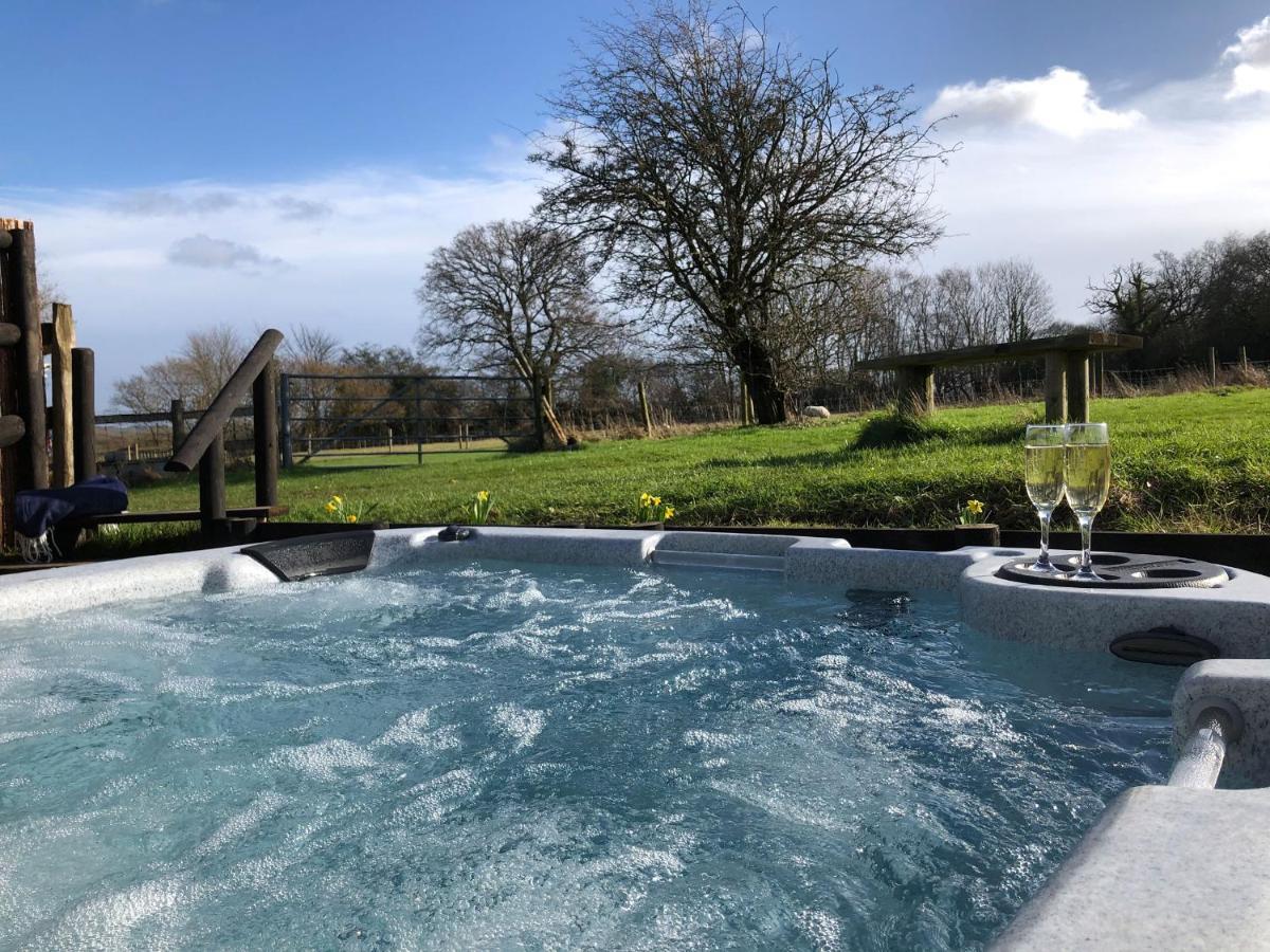 Deer lodge at Chapel Lodges Wimborne Minster Eksteriør billede