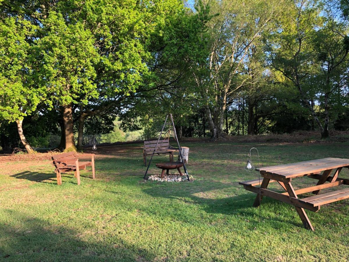 Deer lodge at Chapel Lodges Wimborne Minster Eksteriør billede